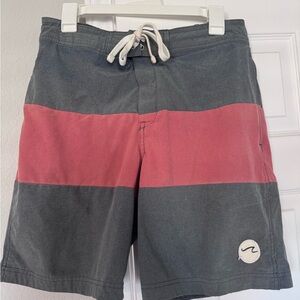 Men's Gray and Red Swim Shorts